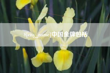 兰州中国金牌包括