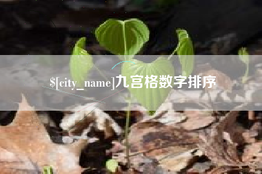 兰州九宫格数字排序