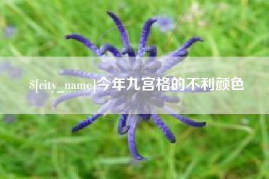 兰州今年九宫格的不利颜色