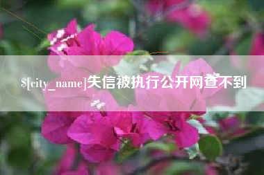 兰州失信被执行公开网查不到