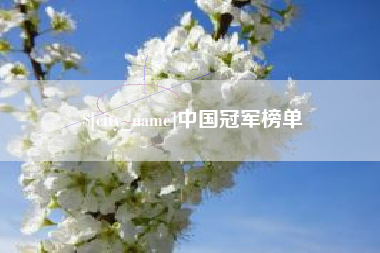 兰州中国冠军榜单