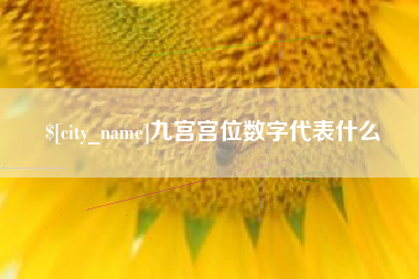 兰州九宫宫位数字代表什么