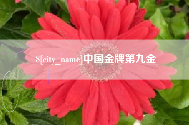 兰州中国金牌第九金