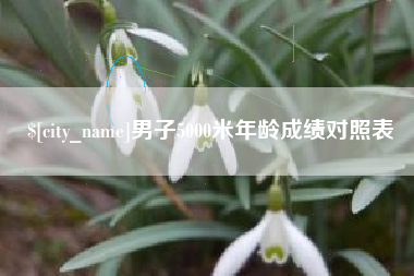 兰州男子5000米年龄成绩对照表