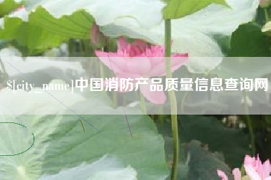 兰州中国消防产品质量信息查询网