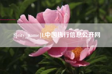 兰州1.中国执行信息公开网