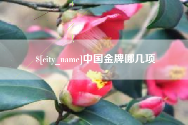 兰州中国金牌哪几项