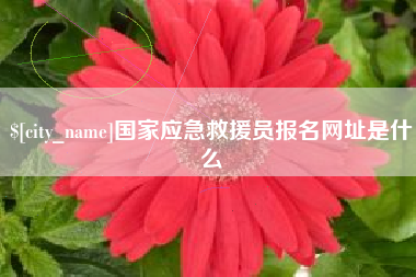 兰州国家应急救援员报名网址是什么