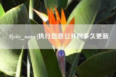 兰州执行信息公开网多久更新