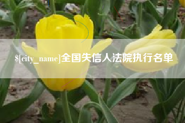 兰州全国失信人法院执行名单