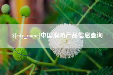 兰州中国消防产品信息查询