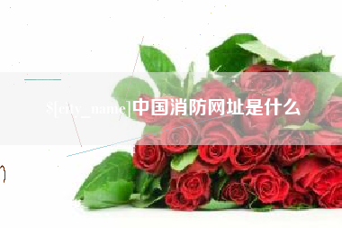 兰州中国消防网址是什么