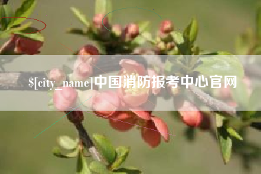 兰州中国消防报考中心官网