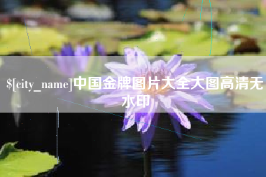 兰州中国金牌图片大全大图高清无水印