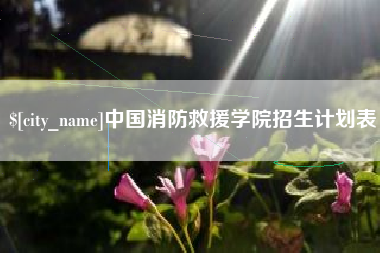 兰州中国消防救援学院招生计划表
