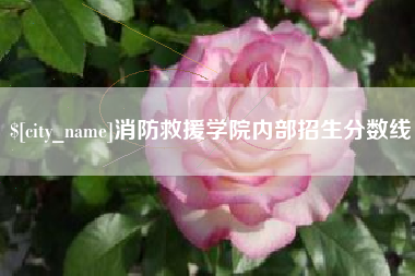 兰州消防救援学院内部招生分数线