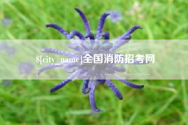 兰州全国消防招考网