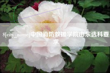 兰州中国消防救援学院山东选科要求