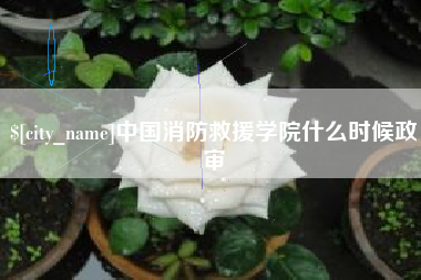 兰州中国消防救援学院什么时候政审
