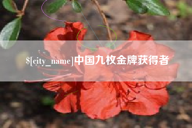 兰州中国九枚金牌获得者