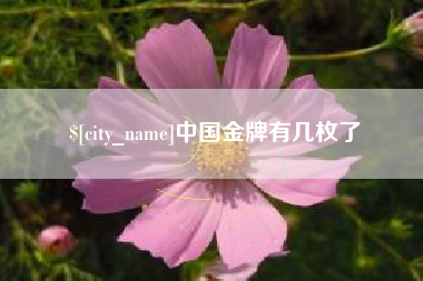 兰州中国金牌有几枚了