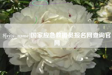 兰州国家应急救援员报名网查询官网