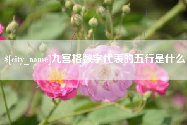 兰州九宫格数字代表的五行是什么