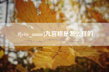 兰州九宫格是怎么样的