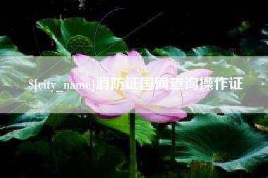 兰州消防证国网查询操作证