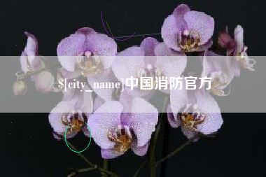兰州中国消防官方