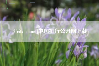 兰州中国执行公开网下载