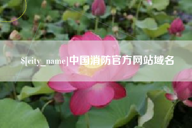 兰州中国消防官方网站域名