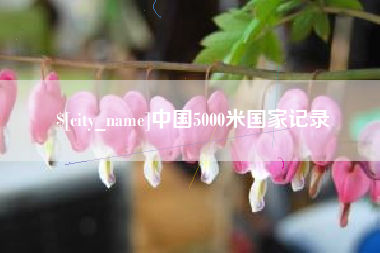 兰州中国5000米国家记录