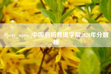兰州中国消防救援学院2020年分数线