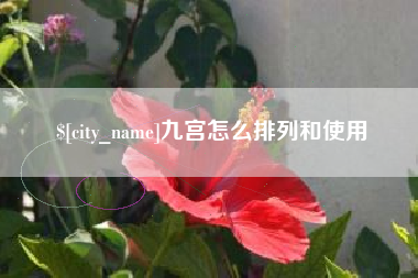 兰州九宫怎么排列和使用