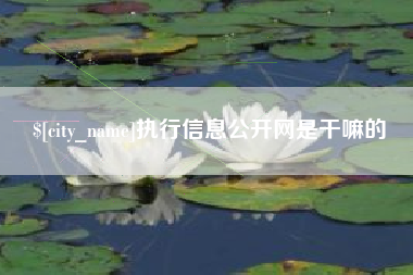 兰州执行信息公开网是干嘛的