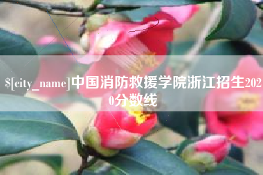兰州中国消防救援学院浙江招生2020分数线