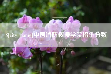 兰州中国消防救援学院招生分数