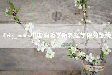 兰州中国消防学院救援学院分数线