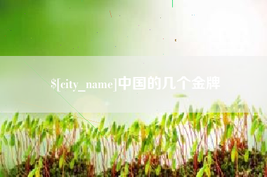 兰州中国的几个金牌