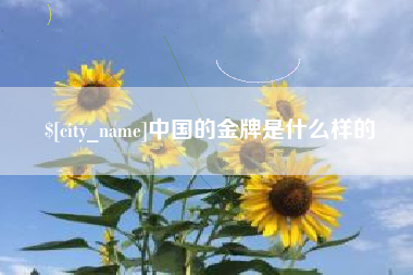 兰州中国的金牌是什么样的