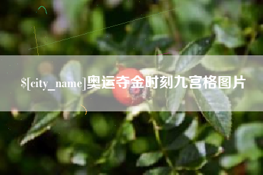 兰州奥运夺金时刻九宫格图片