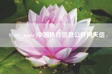 兰州中国执行信息公开网失信